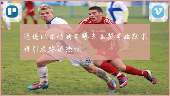 范德比尔特新车曝光东契奇幽默求借引发球迷热议