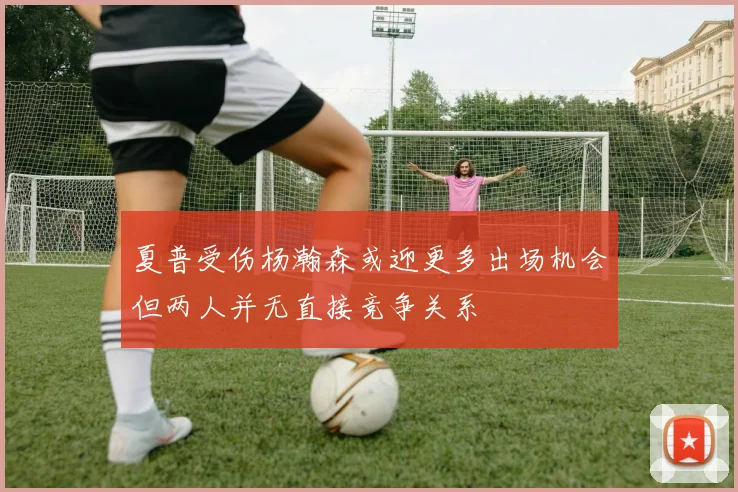 夏普受伤杨瀚森或迎更多出场机会但两人并无直接竞争关系